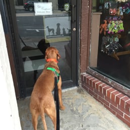 Closed on Monday. Dogs don't understand this.