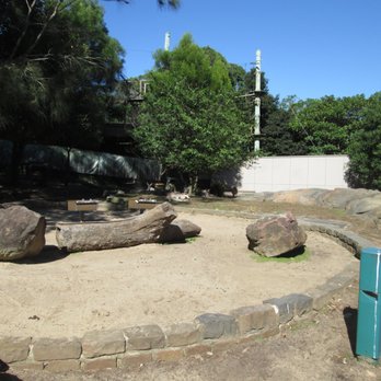 Taronga Zoo - Zoos Near Me - Mosman, NSW Taronga Zoo - Zoos Near Me - Mosman, NSW