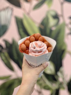 Cauldron Ice Cream by null