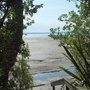 Photo of Eric Armshaw Reserve