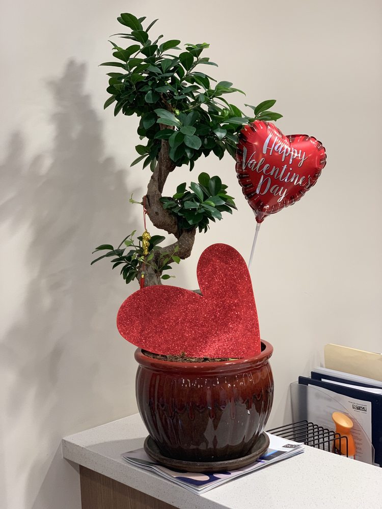 NEWHOPE JOINT AND SPINE MEDICAL CENTER 43 Photos 14120 Beach Blvd, Westminster, CA Yelp