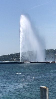 Jet d'Eau de Genève by null