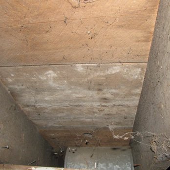 Black Attic Ceiling Mold Starting To Spread On An Attic Ceiling In