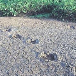 Monumento Natural Vale dos Dinossauros - Privates Foto