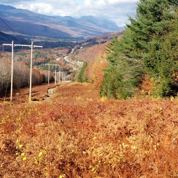 Alpine Adventures - Tours Near Me - Lincoln, New Hampshire