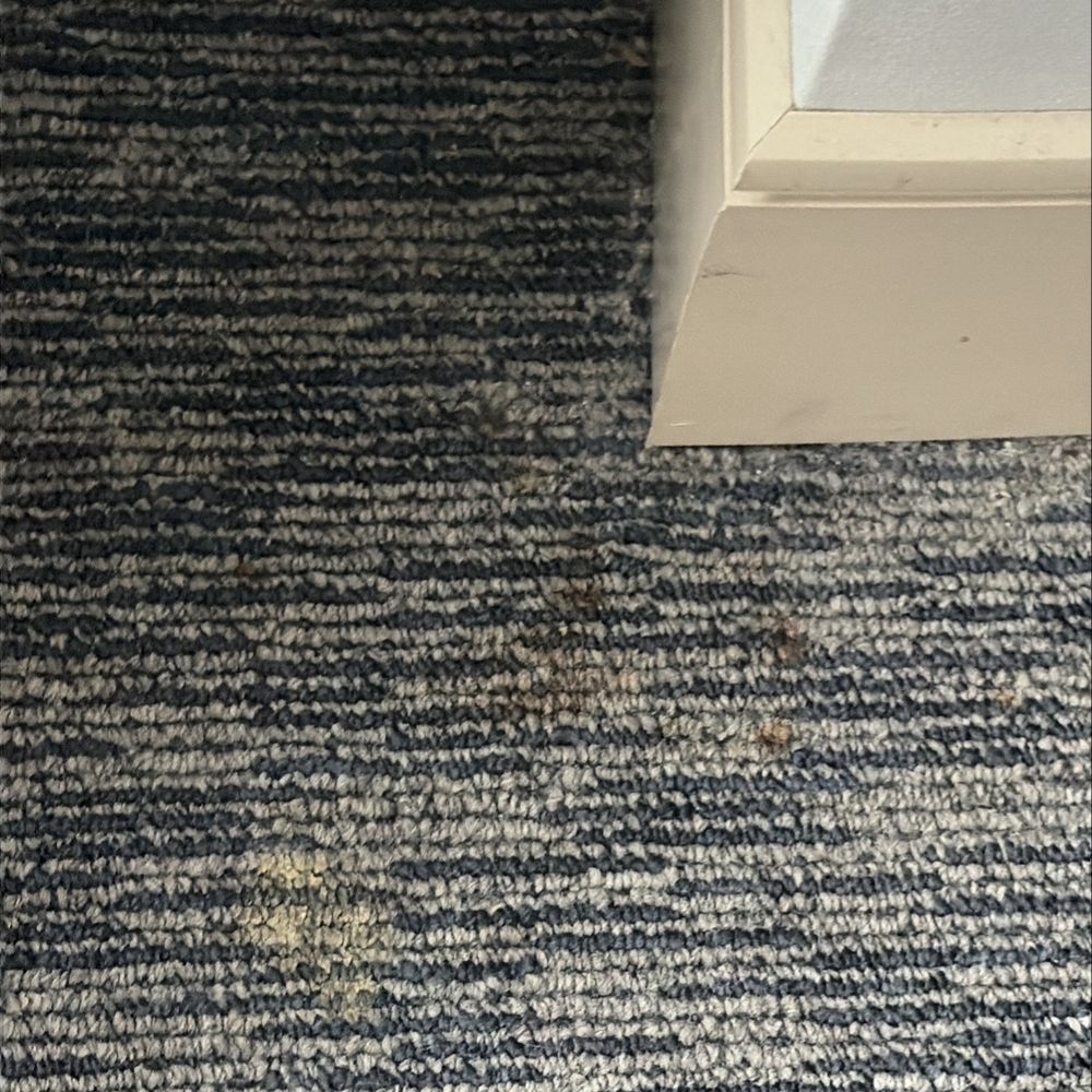 The Brooklyn - Poop stays - Hotels Near Me - Brooklyn, New York The Brooklyn - Poop stays - Hotels Near Me - Brooklyn, New York