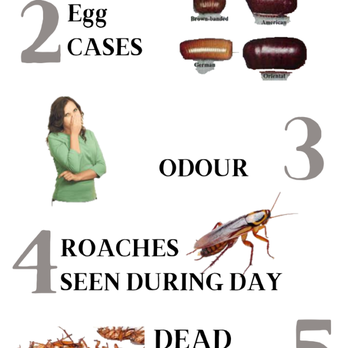 Novacare Pest Control - Pest Control Near Me - Brampton, Ontario Novacare Pest Control - Pest Control Near Me - Brampton, Ontario