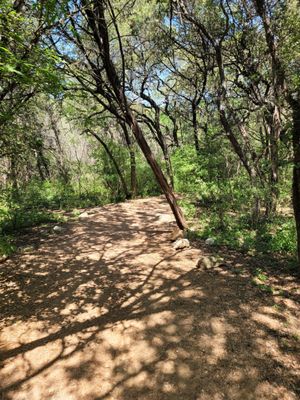Barton Creek Greenbelt by null