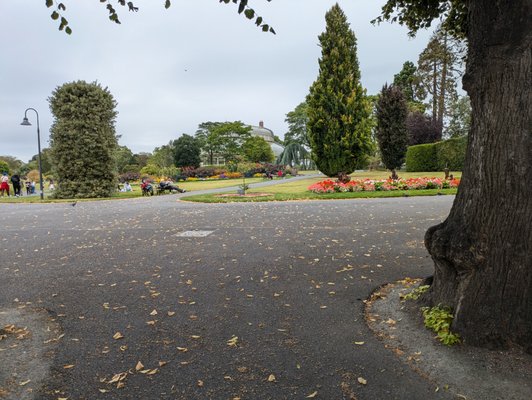 National Botanic Gardens by null