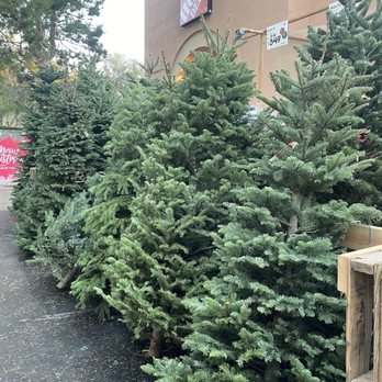 The Home Depot - Tree displays - Hardware Stores Near Me - Irvine, California The Home Depot - Tree displays - Hardware Stores Near Me - Irvine, California
