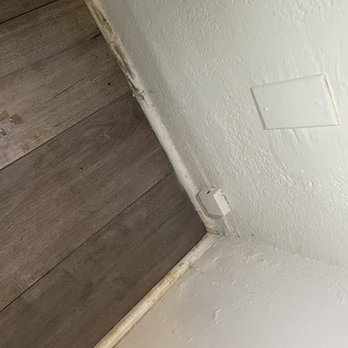 Satoshi Hideout Living - Water damage and mold - Vacation Rentals Near Me - St. Petersburg, Florida Satoshi Hideout Living - Water damage and mold - Vacation Rentals Near Me - St. Petersburg, Florida