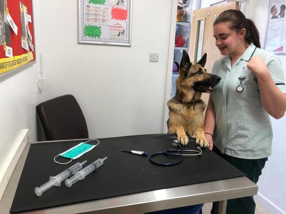 BEST FRIENDS VET GROUP 23 Photos 43 Amsterdam Road, London, United