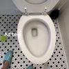Majestic Clean Services gift card