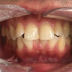 Sharon J Lee, DDS