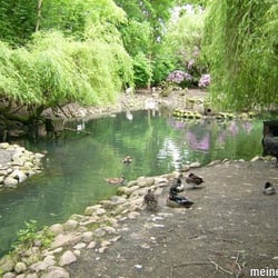 Hubertus-Teich