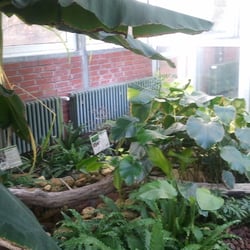 Botanischer Garten