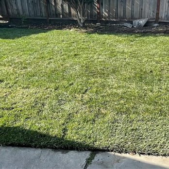 AG Garden Maintenance & Landscape Services - Sod, grass - Landscaping Near Me AG Garden Maintenance & Landscape Services - Sod, grass - Landscaping Near Me