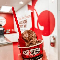Bruster's Real Ice Cream - Small - 2 scoop