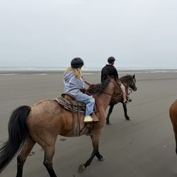 Horseback riding on beach