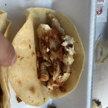 Taqueria Panchito - Chicken Tacos - Mexican Near Me - Dallas, Texas Taqueria Panchito - Chicken Tacos - Mexican Near Me - Dallas, Texas