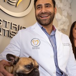 District Dentistry - Hummus (the Frenchie)visiting the office