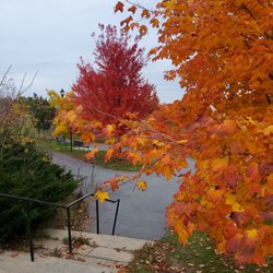 The Hoagie House - This is a wonderful autumn day at Memorial Park