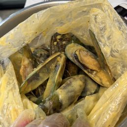 37. Boiling Mussel 37. Boiling Mussel
