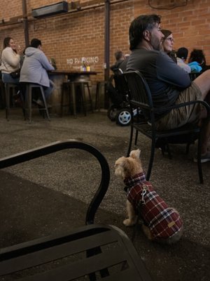 Coomber Craft Wines by null