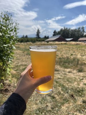 Solera Brewery by null