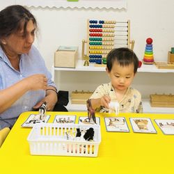 Our infant students are ready to recognize and match materials, building early cognitive skills through hands‑on Montessori work.
