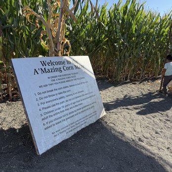 Petaluma Pumpkin Patch And Amazing Corn Maze - Pumpkin Patches Near Me - Petaluma, California Petaluma Pumpkin Patch And Amazing Corn Maze - Pumpkin Patches Near Me - Petaluma, California