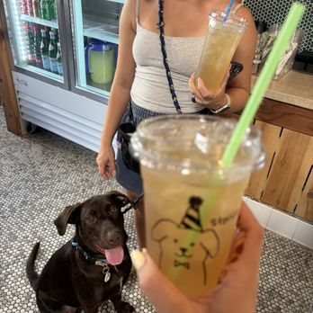Centro & Storico Cafe - We always bring our puppy Finn - Italian Near Me - Orange, California Centro & Storico Cafe - We always bring our puppy Finn - Italian Near Me - Orange, California