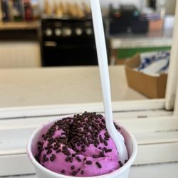 Shirley's Northern Lights Gourmet Ice Cream