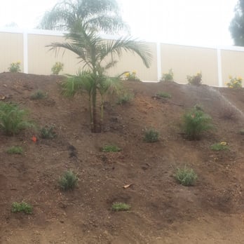 Moon Valley Nurseries - Tree Services Near Me - Chino, California Moon Valley Nurseries - Tree Services Near Me - Chino, California