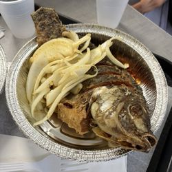 Hadja Marley - Fish