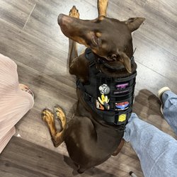 HTX Tactical
