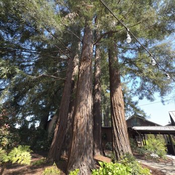 Sequoia Grove Winery - Wine Tasting Room Near Me - Rutherford, California