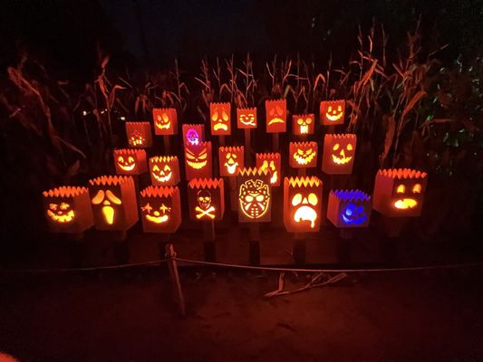 Pinehaven Farm by null