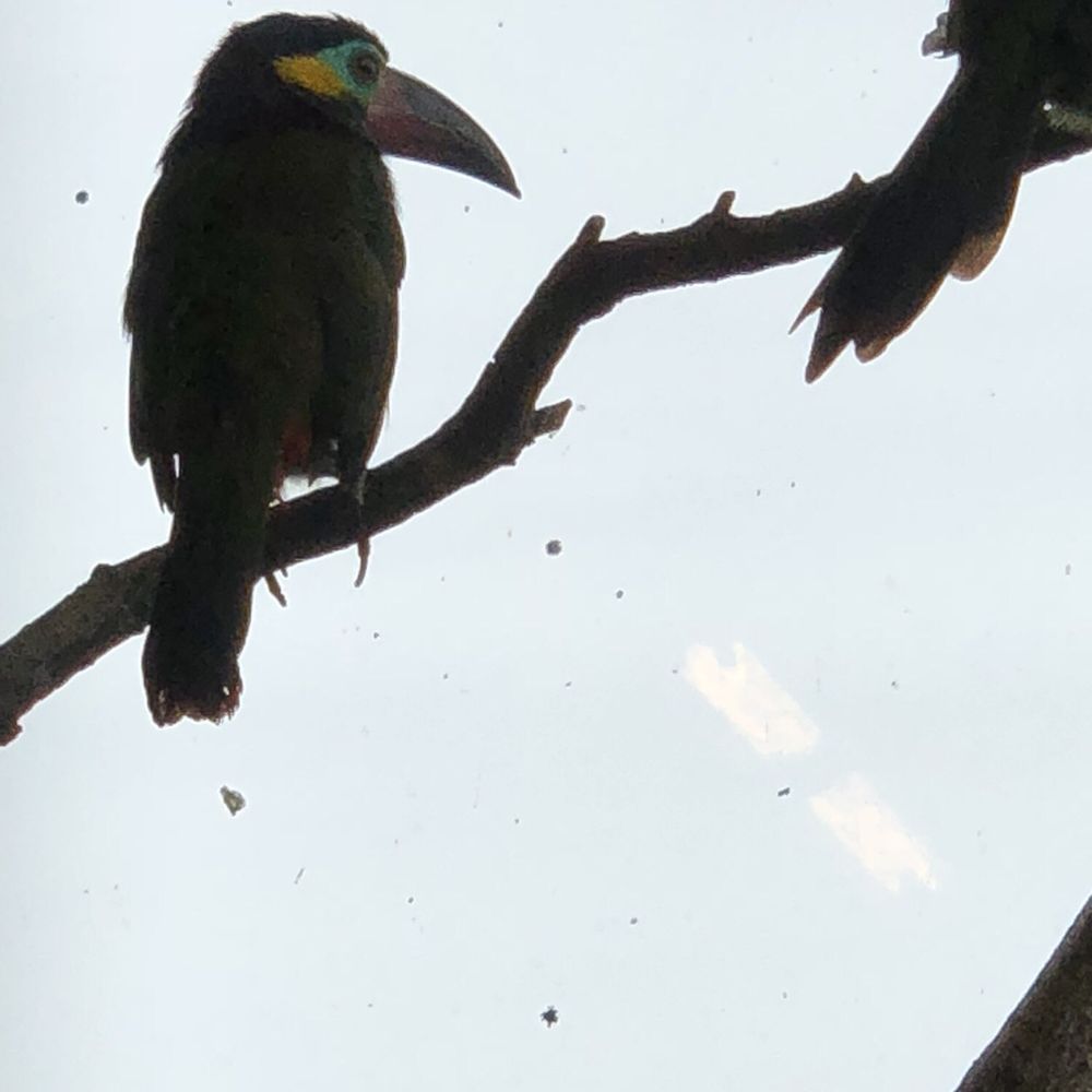 Bird Kingdom - Zoos Near Me - Niagara Falls, Ontario