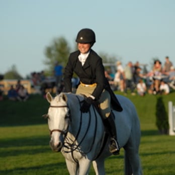 Silver Fox Horse Sales - The Silver Fox 3rd overall in the 2009 Hunter Derby - Horseback Riding Near Me - Langley, British Columbia Silver Fox Horse Sales - The Silver Fox 3rd overall in the 2009 Hunter Derby - Horseback Riding Near Me - Langley, British Columbia