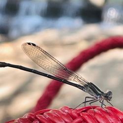 Brackenridge Park - Nature connection