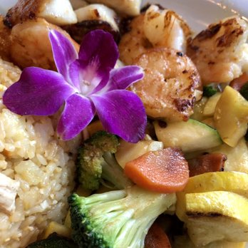 Alfredo’s Cookhouse - Seafood with fresh veggies - Breakfast & Brunch Near Me - Key Largo, Florida Alfredo’s Cookhouse - Seafood with fresh veggies - Breakfast & Brunch Near Me - Key Largo, Florida