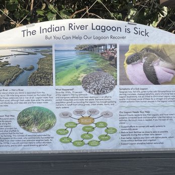 Barrier Island Sanctuary - Local Flavor Near Me - Melbourne Beach, Florida