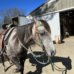 Oakwood Manor Horse Stable