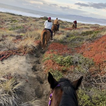 Five Brooks - Horseback Riding Near Me - Bodega Bay, California Five Brooks - Horseback Riding Near Me - Bodega Bay, California
