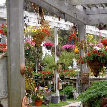 Los Osos Valley Nursery - Great selection of garden art to disperse throughout your very own! - Nurseries & Gardening Near Me - Los Osos, California