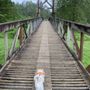 Photo of Tolt-MacDonald Park & Campground