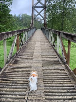 Tolt-MacDonald Park & Campground by null