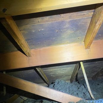 Level Up Attic & Crawl Space - Insulation Installation Near Me - Bellevue, Washington