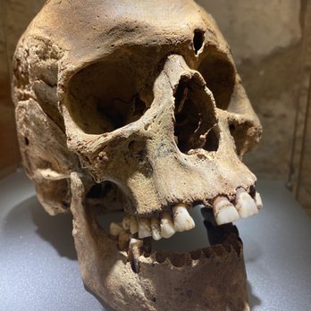 Podziemia Rynku - Skull - Museums Near Me - Kraków, Massachusetts